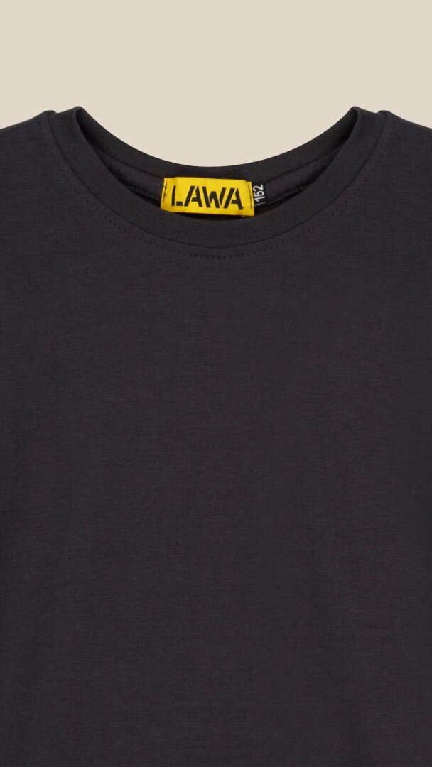 Футболка однотонна для хлопчика LAWA BBC02307 134 см Графітовий shop (2000999205019)  Фото №0