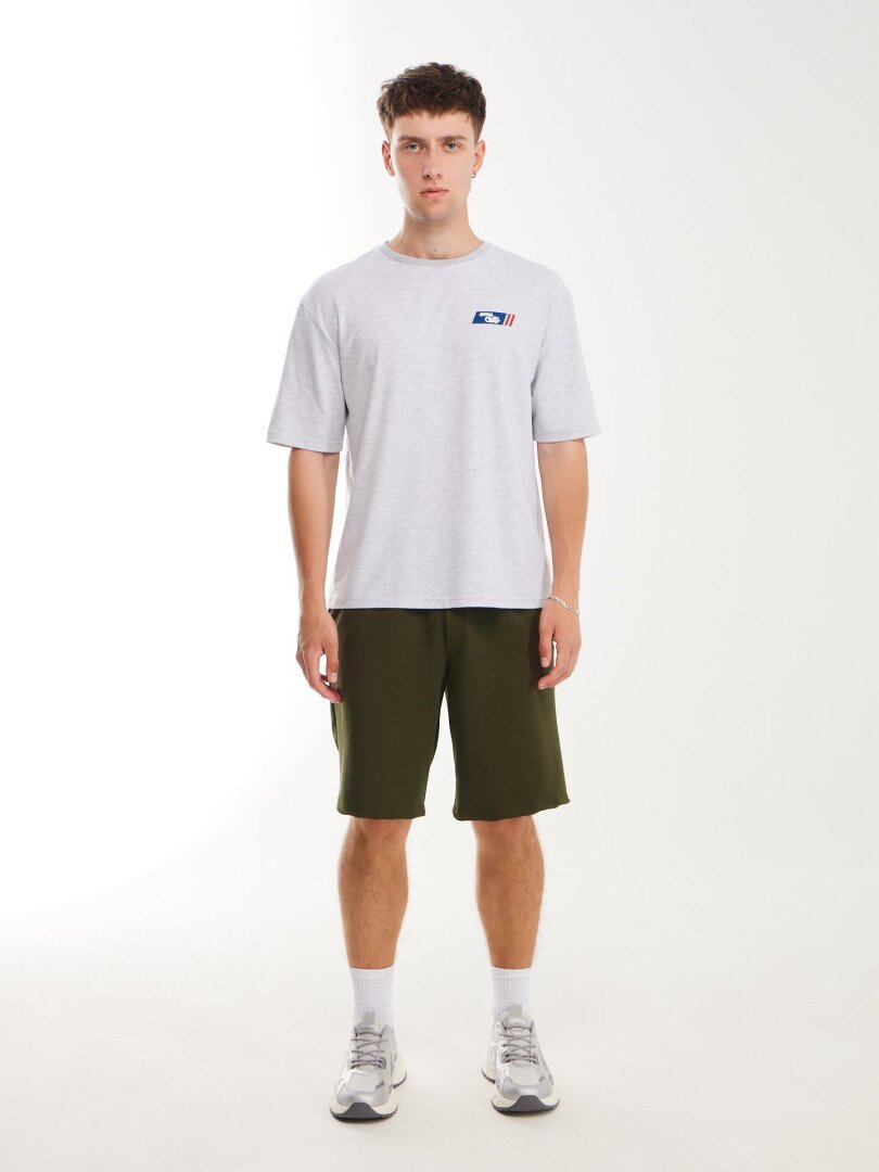 Футболка з принтом чоловіча LAWA P-MB02364 S Сірий меланж shop (2000999608636)  Фото №0