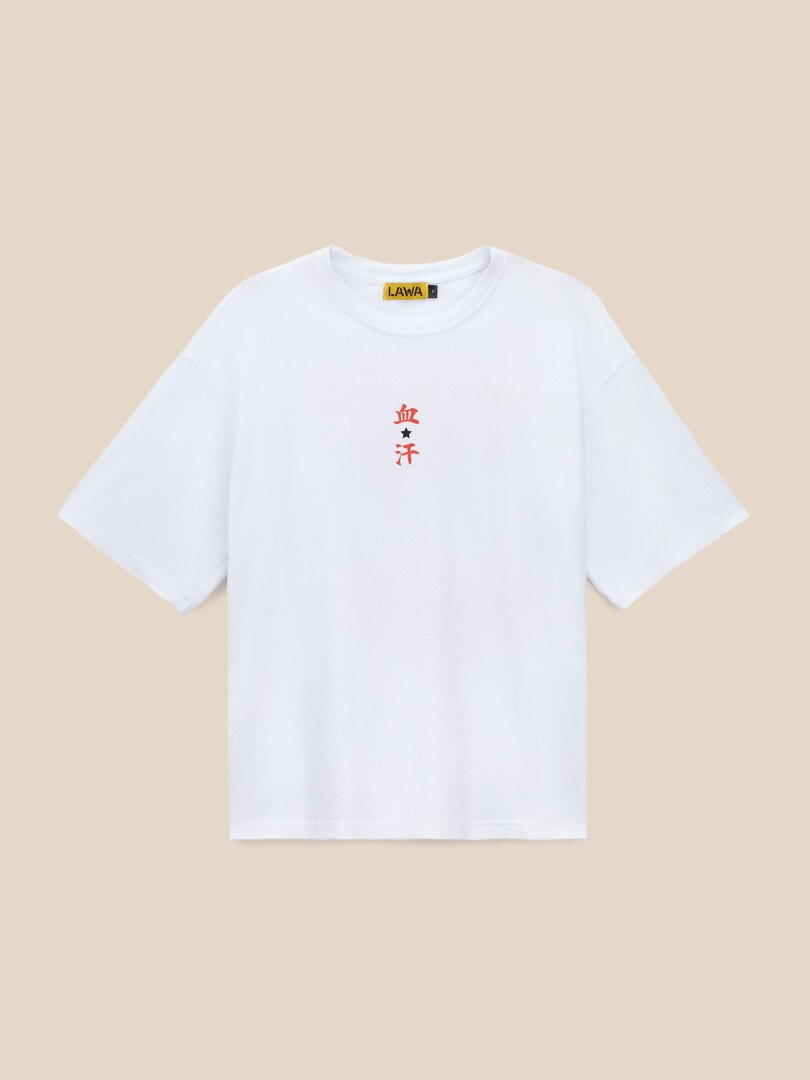Футболка з принтом чоловіча LAWA P-MB02385 S Білий shop (2000999664670)
