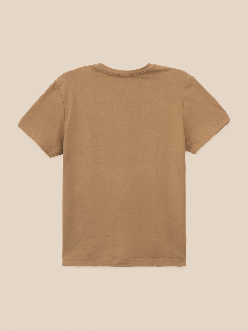 Футболка з принтом для хлопчика LAWA P-BB02350 140 см Пісочний shop (2000999655074)  Фото №0