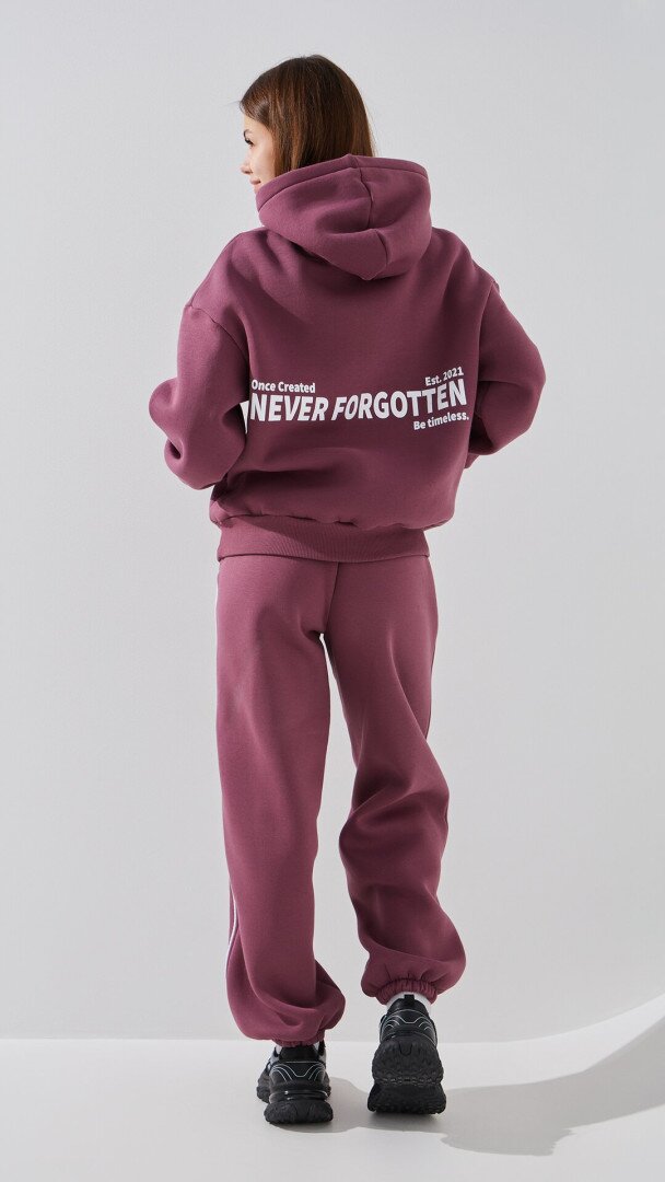 Спортивні штани джогери однотонні жіночі LAWA WTC02450 S Сливовий shop (2000999381416)  Фото №4