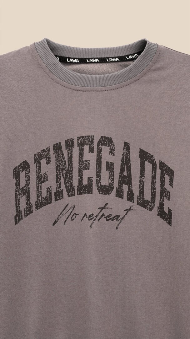 Спортивний костюм світшот+штани для хлопчика LAWA P-BB02338 146 см Коричневий-графітовий shop (2000999531286)  Фото №1