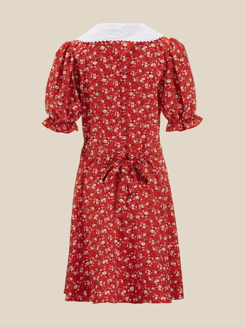Сукня з візерунком жіноча LAWA WTC02495 L Червоний shop (2000999638862)  Фото №1