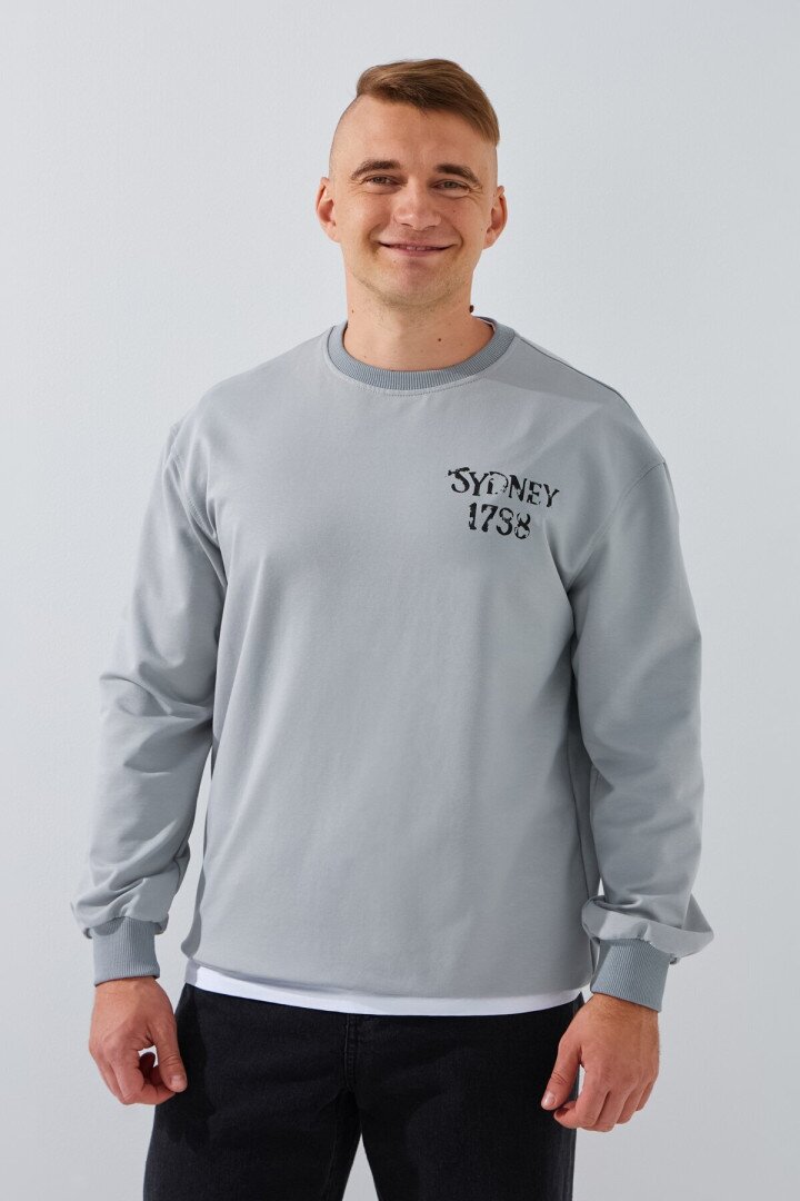 Світшот з принтом чоловічий LAWA P-MB02326 L Світло-сірий shop (2000991067080)