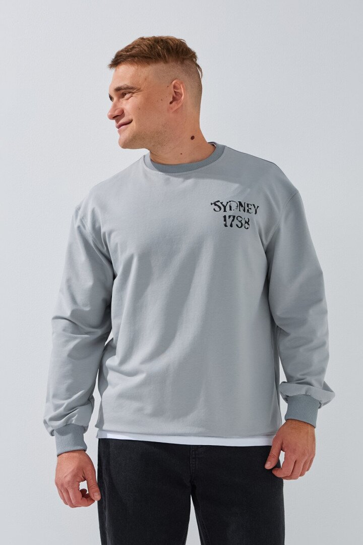 Світшот з принтом чоловічий LAWA P-MB02326 XL Світло-сірий shop (2000991067097)  Фото №2