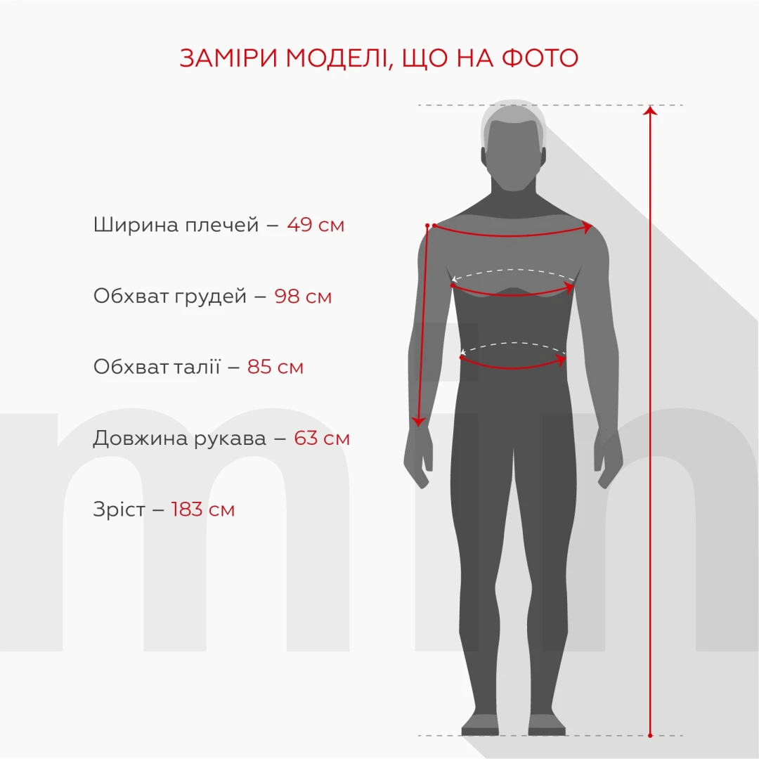 Світшот з принтом чоловічий  LAWA P-MB02352 L Сірий shop (2888000030801)  Фото №4