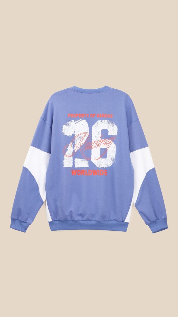 Світшот з принтом чоловічий LAWA P-MB02369 M Синій shop (2000999542527)  Фото №2