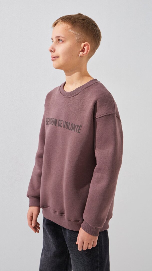 Світшот з принтом для хлопчика LAWA P-BB02333 134 см Сіро-коричневий shop (2888000024404)  Фото №1