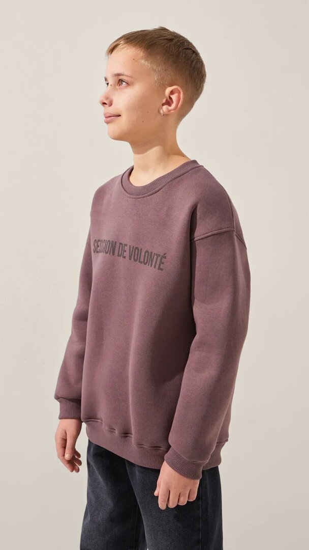Світшот з принтом для хлопчика LAWA P-BB02333 134 см Сіро-коричневий shop (2888000024404)  Фото №1