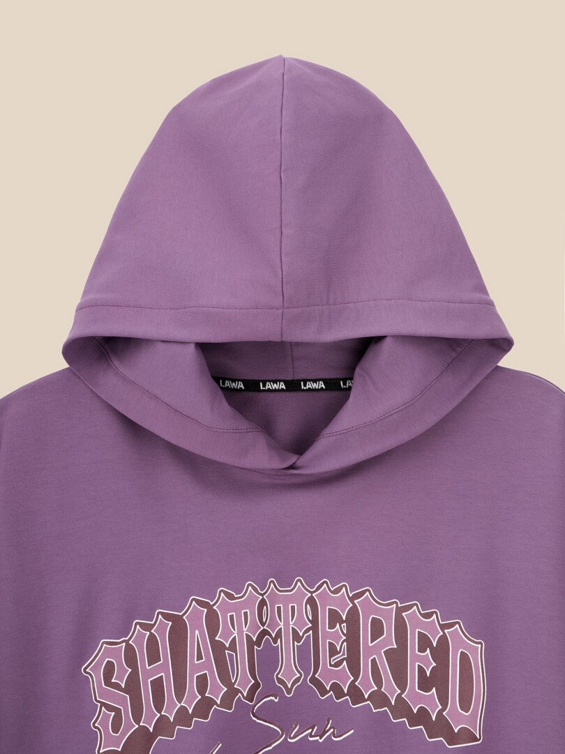 Худі з принтом чоловічий LAWA P-MB02366 M Сливовий shop (2000999614682)  Фото №0