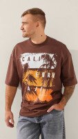 Футболка з принтом чоловіча LAWA P-MB02346 M Мокко shop (2888000009098)  Фото №0
