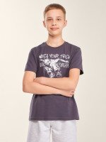 Футболка з принтом для хлопчика LAWA P-BB02345 146 см Графітовий shop (2000999633294)