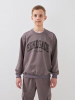 Спортивний костюм світшот+штани для хлопчика LAWA P-BB02338 146 см Коричневий-графітовий shop (2000999531286)  Фото №0