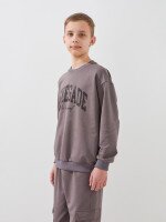 Спортивний костюм світшот+штани для хлопчика LAWA P-BB02338 146 см Коричневий-графітовий shop (2000999531286)  Фото №1