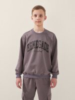 Спортивний костюм світшот+штани для хлопчика LAWA P-BB02338 146 см Коричневий-графітовий shop (2000999531286)  Фото №0