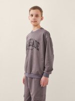 Спортивний костюм світшот+штани для хлопчика LAWA P-BB02338 146 см Коричневий-графітовий shop (2000999531286)  Фото №1