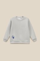 Світшот з принтом для хлопчика LAWA P-BB02306 152 см Світло-сірий shop (2000990893659)  Фото №5