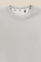 Світшот з принтом для хлопчика LAWA P-BB02306 152 см Світло-сірий shop (2000990893659)  Фото №7