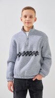 Світшот з принтом для хлопчика LAWA P-BB02329 152 см Сірий shop (2000999383199)