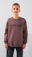 Світшот з принтом для хлопчика LAWA P-BB02333 134 см Сіро-коричневий shop (2888000024404)