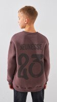 Світшот з принтом для хлопчика LAWA P-BB02333 134 см Сіро-коричневий shop (2888000024404)  Фото №2