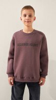 Світшот з принтом для хлопчика LAWA P-BB02333 134 см Сіро-коричневий shop (2888000024404)