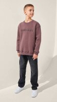 Світшот з принтом для хлопчика LAWA P-BB02333 134 см Сіро-коричневий shop (2888000024404)  Фото №0