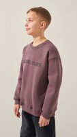 Світшот з принтом для хлопчика LAWA P-BB02333 134 см Сіро-коричневий shop (2888000024404)  Фото №1