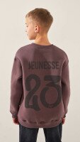 Світшот з принтом для хлопчика LAWA P-BB02333 134 см Сіро-коричневий shop (2888000024404)  Фото №2