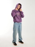 Худі з принтом чоловічий LAWA P-MB02366 2XL Сливовий shop (2000999614712)  Фото №1