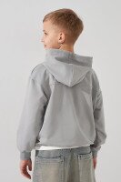 Худі з принтом для хлопчика LAWA P-BB02310 122 см Світло-сірий shop (2000991052727)  Фото №3