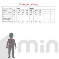 Жилет утеплений для хлопчика LAWA BBC02313 122 см Чорний shop (2000991041479)  Фото №3