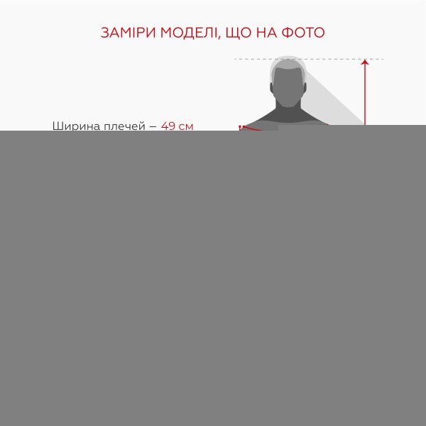 Світшот з принтом чоловічий  LAWA P-MB02352 M Сірий shop (2888000030795)  Фото №6